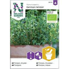 Nelson Garden Timian Have Tysk Vinter Organic 1500 stk Krydderurtefrø