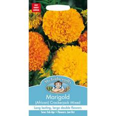 Vegetable Seeds Mr. Fothergill's Mr Fothergills Pictorial Packet Flower