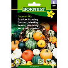 Hornum Græskar, blanding, Gourmet Mix E 1239 Blomsterfrø