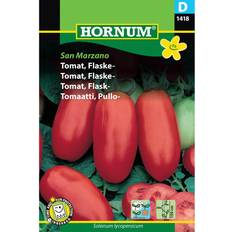 Tomater Grøntsagsfrø Hornum Tomat, Flaske, San Marzano D 1418 Grøntsagsfrø