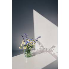 Venture Home Poster - Flowers - White Poster 70x70cm