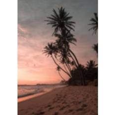 Venture Home Poster - Summer - 21x30 Poster
