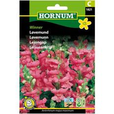 Hornum Blomsterfrø Hornum Løvemund frø, Winner Blomsterfrø