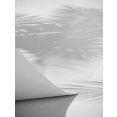 Venture Home Papyrus Poster 70x100cm