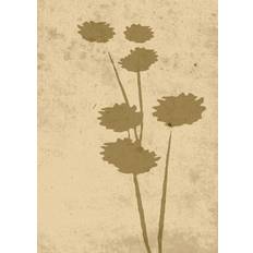 Venture Home Flower Art Poster 50x70cm