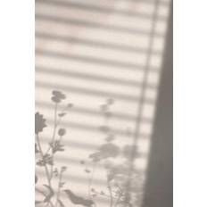 Venture Home Plakat Flower shadow Plakat