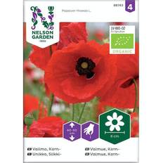 Nelson Garden Økologisk kornvalmue frø Blomsterfrø