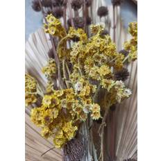 Venture Home Plakat Bouquet Plakat