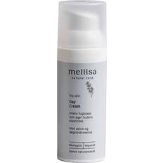 Day Cream Dry Skin