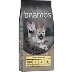 Junior Chicken & Potato Grain Free 2x12kg