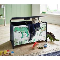 Storage Boxes Petit Pascal Dino Storage Toy Box