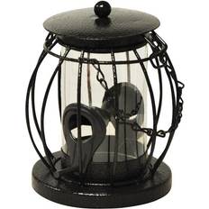 Kingfisher Lantern Shaped Bird Seed Feeder