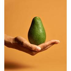 Gröna Väggdekorationer Venture Home Avocado Poster 70x70cm