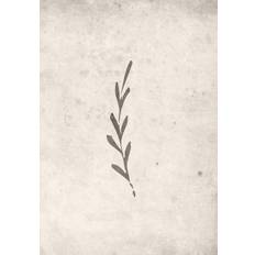 Venture Home Poster Autumn leaf 70x100 Poster