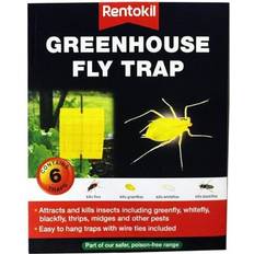 Fly trap Rentokil Greenhouse Fly Trap 6