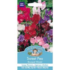 Ornamental Shrubs Mr Fothergills Pictorial Packet Flower
