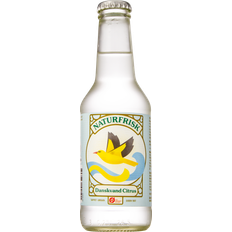 Naturfrisk Fødevarer Naturfrisk Danskvand Citrus Øko 25 cl.