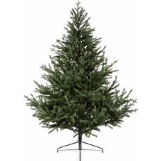 B&Q Glenshee Spruce Artificial Christmas Tree 213.4cm