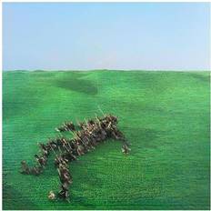 bright green field (CD)