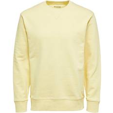 Selected Selected Jason Sweatshirt