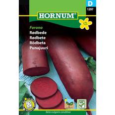 Hornum Rødbede, Forono D 1297