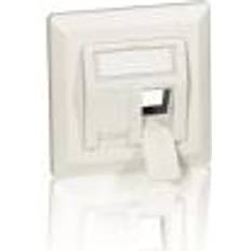 Equip NWK Ass Dose Keystone Jacks 80 mm 80 mm