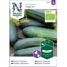 Nelson Garden Økologisk Frilandsagurk frø, Profi F1 Grøntsagsfrø
