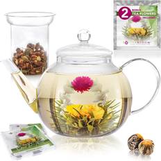 Glass Teapots Teabloom - Teapot 0.31gal