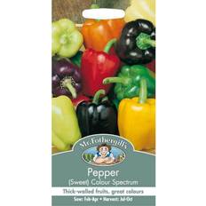 Ornamental Shrubs Mr. Fothergill's Mr Fothergills Pictorial Packet Vegetable Sweet