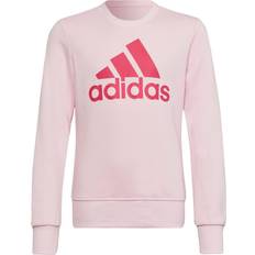 Transparent Överdelar Barnkläder adidas Essentials Sweatshirt Clear Team Real Magenta