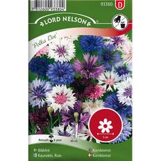 Nelson Garden Blåklint 'Polka Dot' Mix frö Blomsterfrø