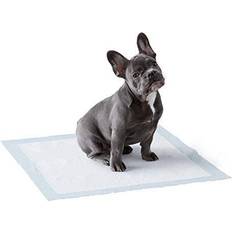 Standard Leak-proof 5-Layer Pee Pads Regular 50pcs