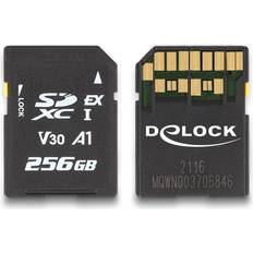 256gb sd card DeLock SD Express memory card 256 GB