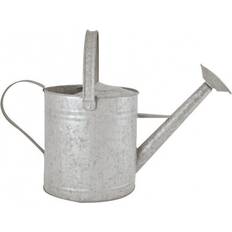 Fallen Fruits Watering Can 3.6L