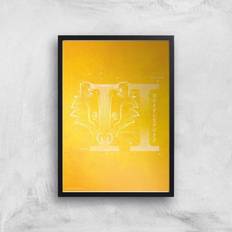 Warner Bros Harry Potter Hufflepuff Giclee Framed Art