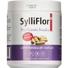 Sylliflor Psyllium Husks 500 stk