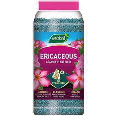 Pots, Plants & Cultivation Westland Ericaceous Flower Plant feed