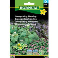 Krukker, Planter & Dyrkning Hornum Grøngødning, blanding D 1856 Blomsterfrø