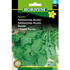 Krukker, Planter & Dyrkning Hornum Salatsennep Frø, Rocket Rucola Grøntsagsfrø
