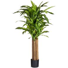 Dracaena Evergreen Kunstig Dracaena Drage Plant Dracena Tree Plant Blomsterfrø