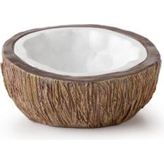 Exo Terra Tiki Coconut Water Dish