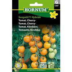 Hornum Tomat, Cherry-, Sungold F1 Grøntsagsfrø