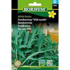 Hornum Krydderurtefrø Hornum Sandsennep Frø, Wilde Krydderurtefrø