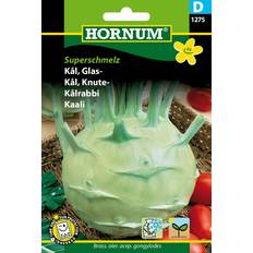 Krukker, Planter & Dyrkning Hornum Kål, Glas-, Superschmelz Grøntsagsfrø