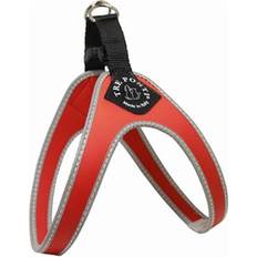 Tre ponti hundsele Tre Ponti Fibbia liten hundsele, 4
