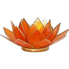 Phoenix Lotus Capiz fyrfadsstage Lysestage