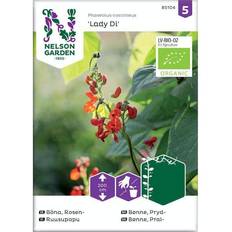 Nelson Garden Økologisk Pralbønne frø, Di Grøntsagsfrø