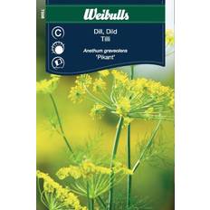 Yrttisiemenet Weibulls Dill Pikant Frö