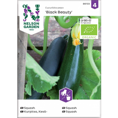 Nelson Garden Squash, Black Beauty, Organic Grøntsagsfrø