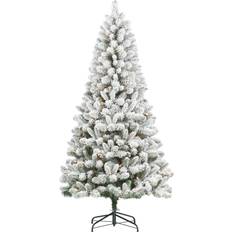 Cotton Christmas Trees Pre-Lit Flocked Frisco Christmas Tree 78"